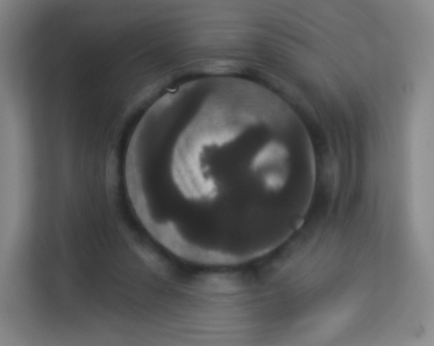 X0000113940303200910091628