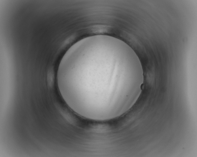 X0000113940304200910091628