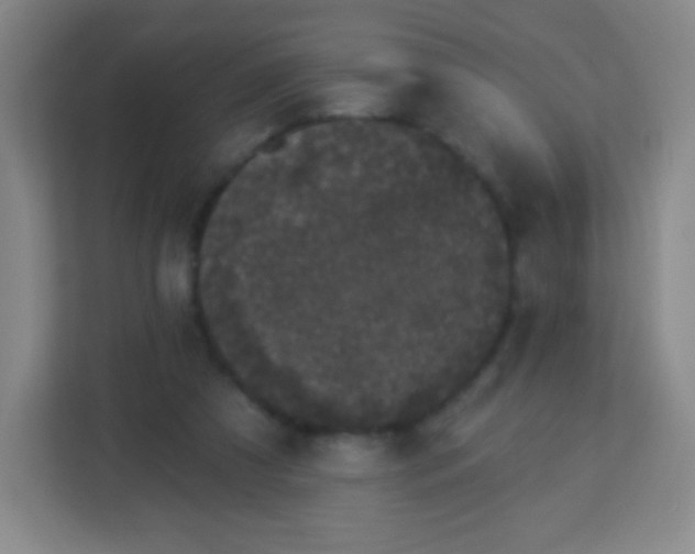 X0000113940305200910091628