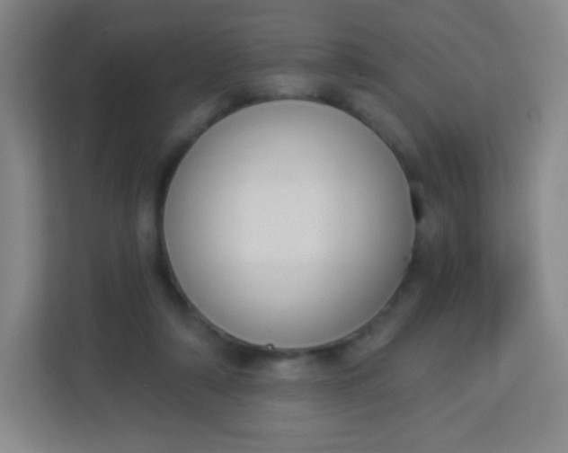 X0000113940306200910091628