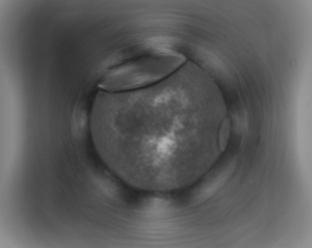 X0000113940308200910091628