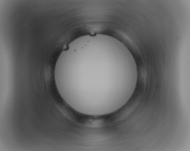 X0000113940311200910091628