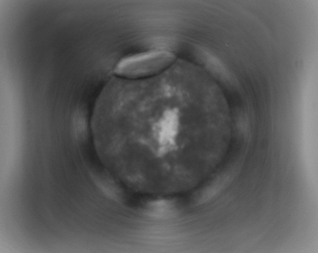 X0000113940312200910091628