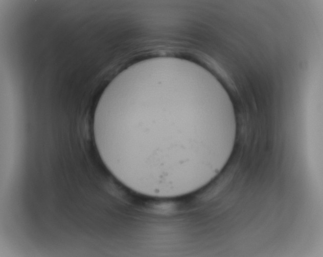 X0000113940313200910091628