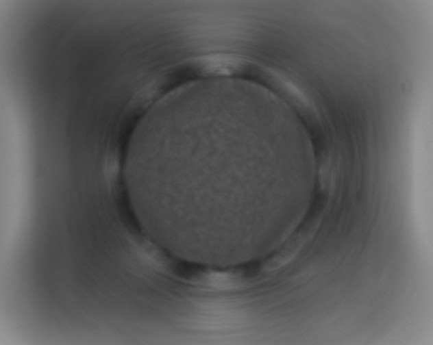 X0000113940314200910091628