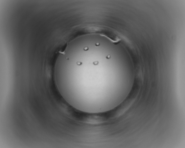 X0000113940315200910091628