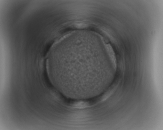 X0000113940319200910091628