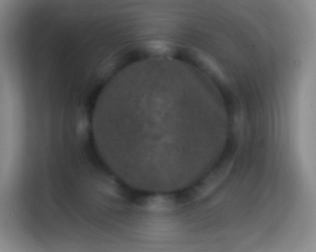 X0000113940320200910091628