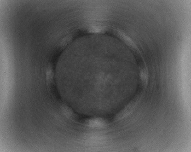 X0000113940322200910091628