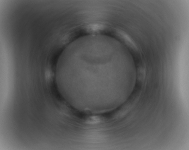 X0000113940324200910091628