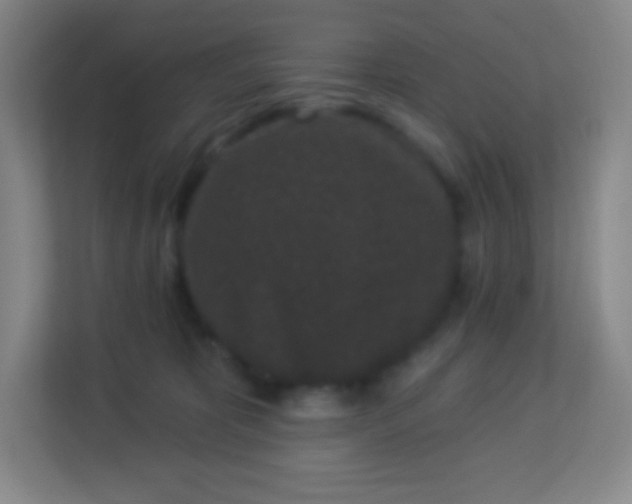 X0000113940325200910091628