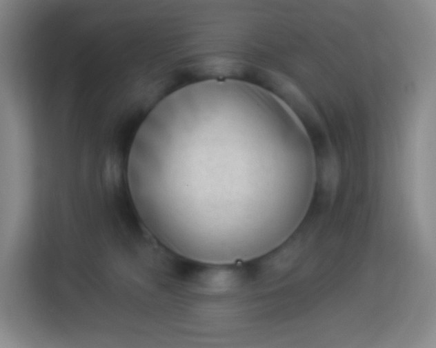 X0000113940326200910091628