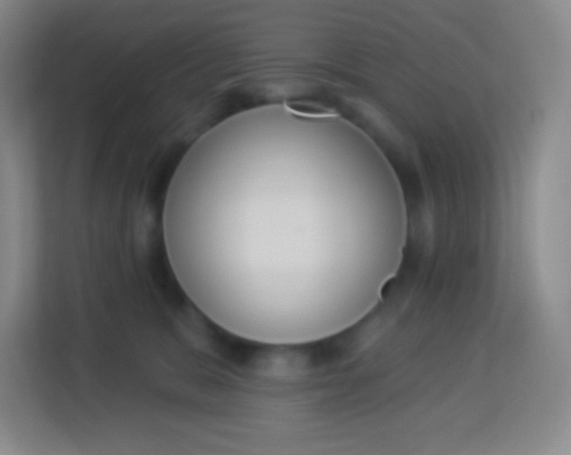 X0000113940327200910091628