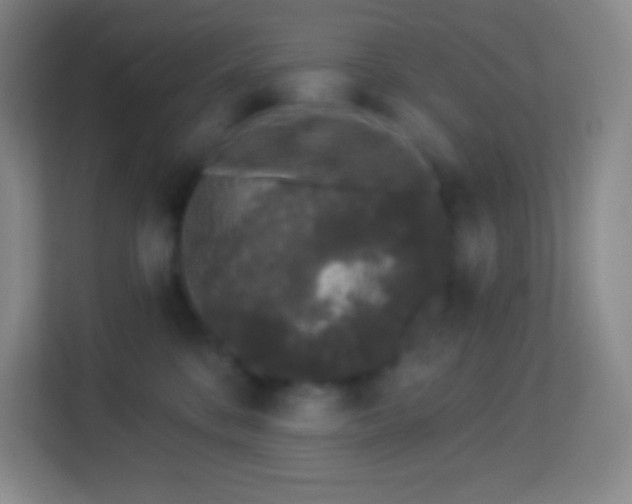 X0000113940328200910091628