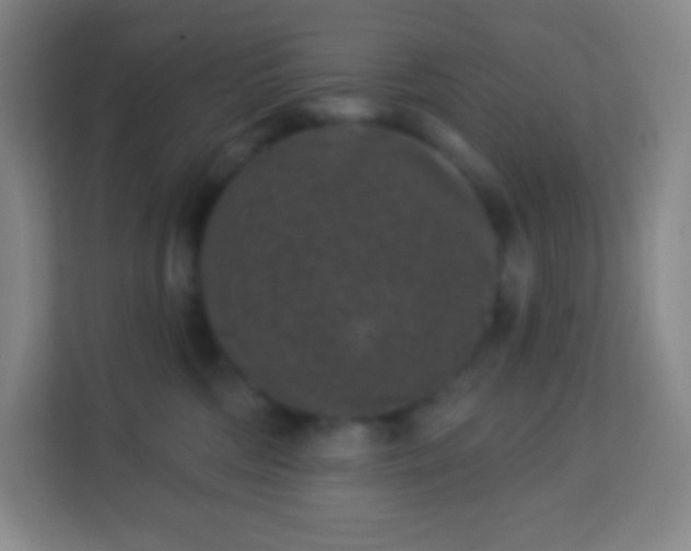 X0000113940330200910091628