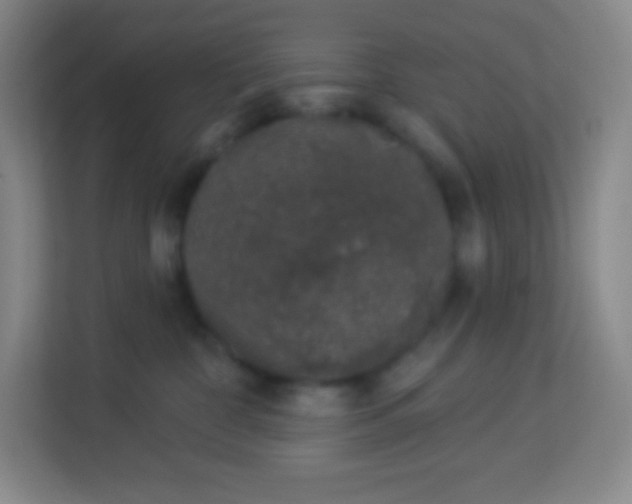 X0000113940332200910091628