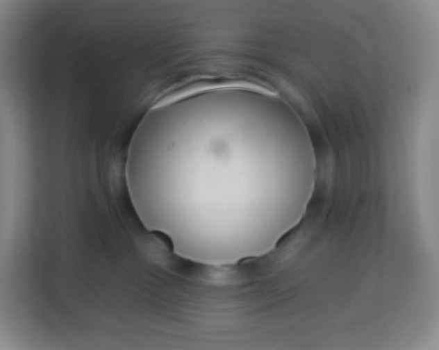 X0000113940333200910091628