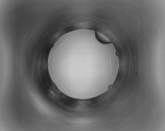 X0000113940334200910091628