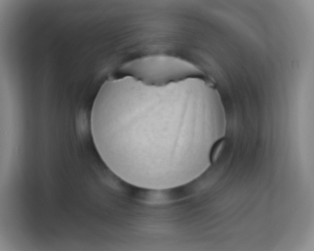 X0000113940335200910091628