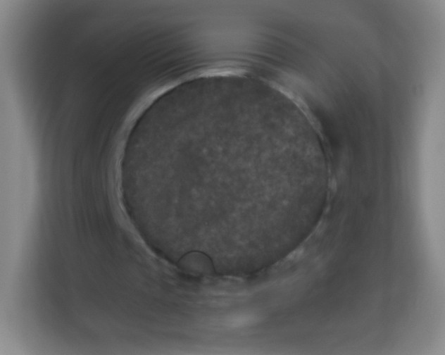 X0000113940337200910091627