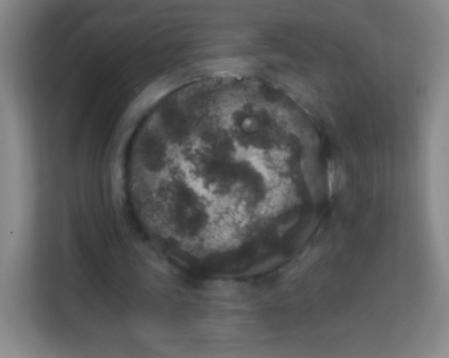 X0000113940339200910091627