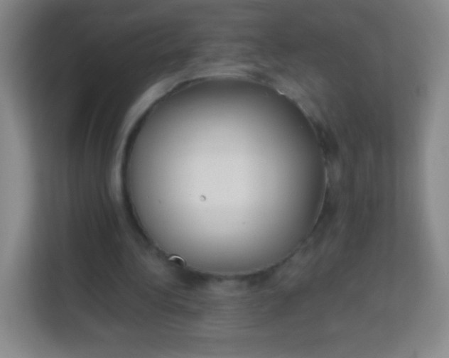 X0000113940340200910091627