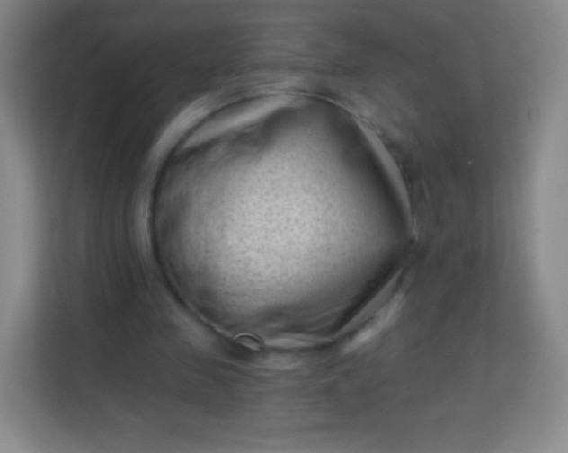 X0000113940341200910091627