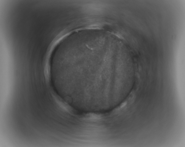 X0000113940343200910091627