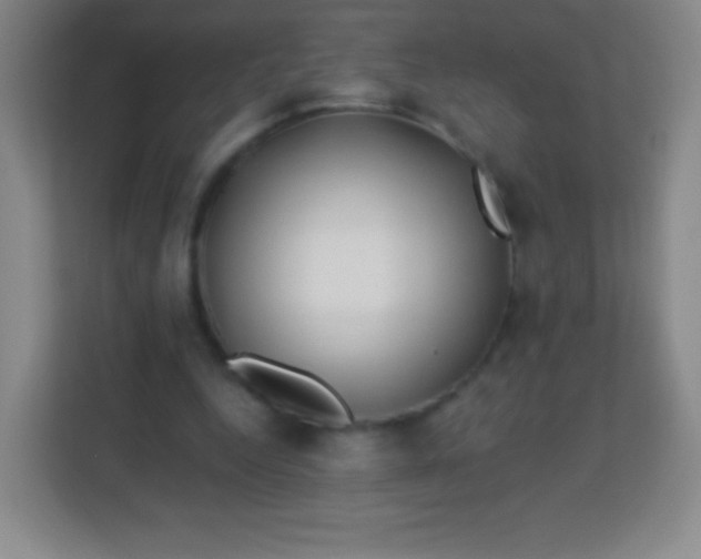 X0000113940344200910091627