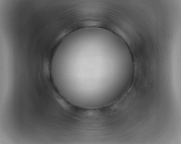 X0000113940345200910091627