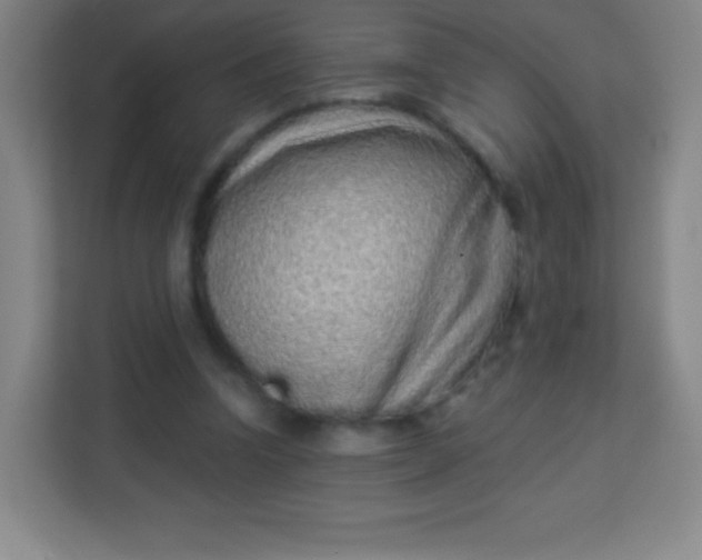 X0000113940346200910091627