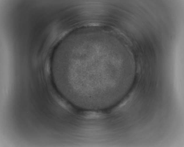 X0000113940347200910091627