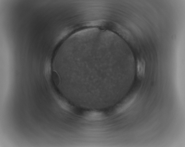 X0000113940348200910091627