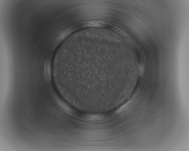 X0000113940349200910091627