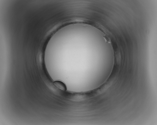 X0000113940350200910091627