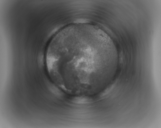 X0000113940351200910091627