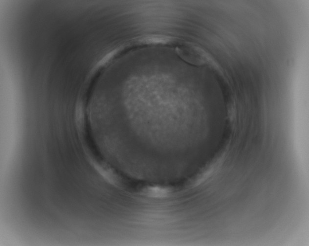 X0000113940352200910091627