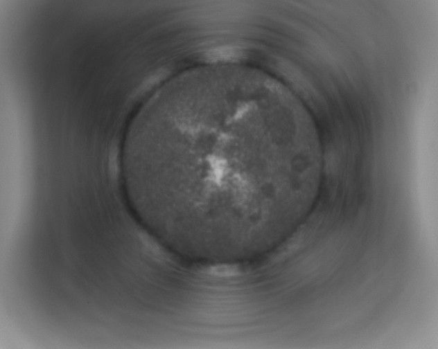 X0000113940353200910091627