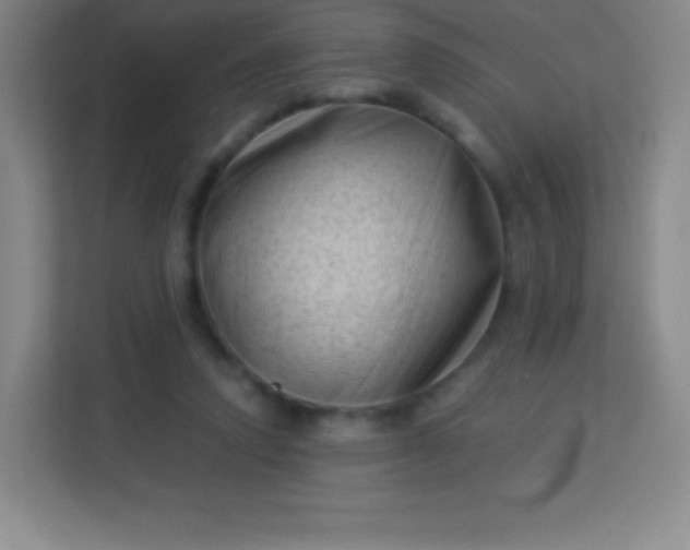 X0000113940354200910091627