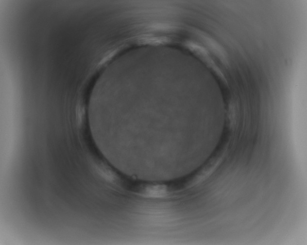 X0000113940355200910091627