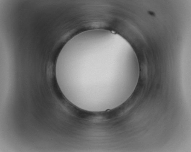 X0000113940356200910091627