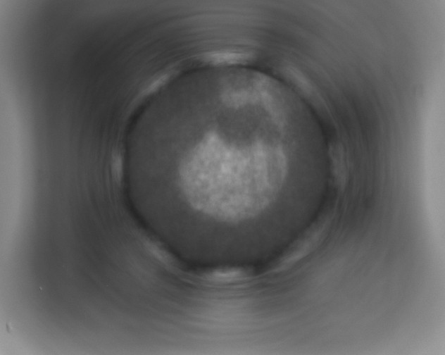 X0000113940357200910091627