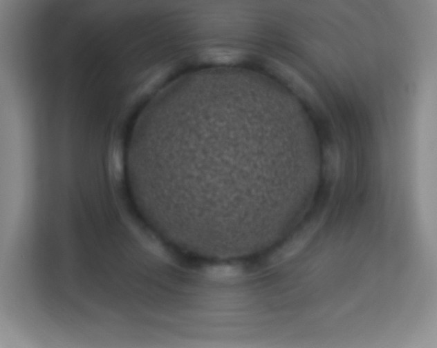 X0000113940358200910091627