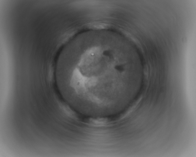 X0000113940359200910091627