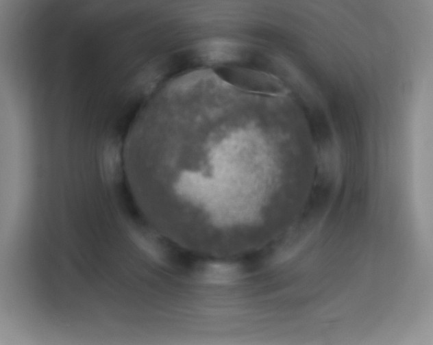 X0000113940360200910091627