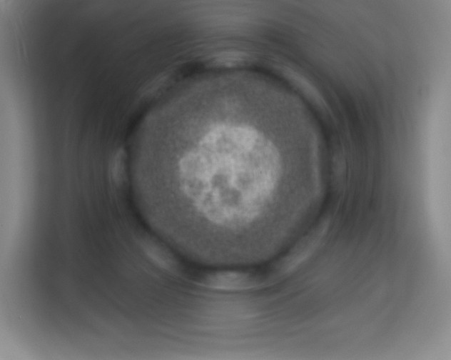 X0000113940361200910091627