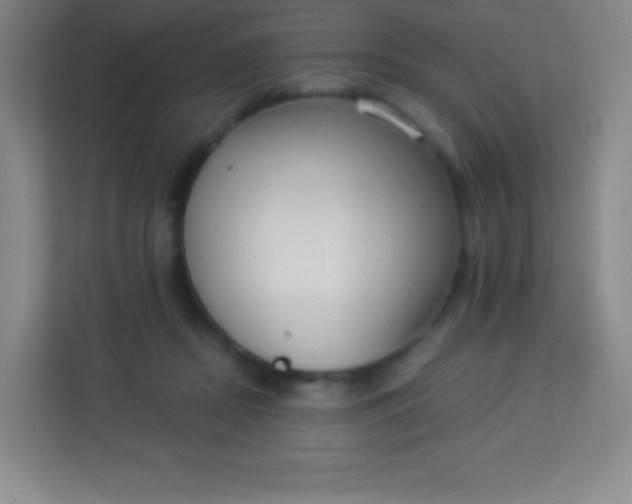 X0000113940362200910091627