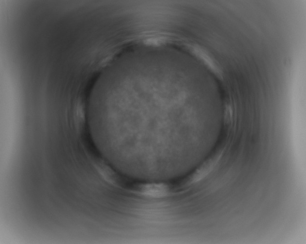 X0000113940363200910091627