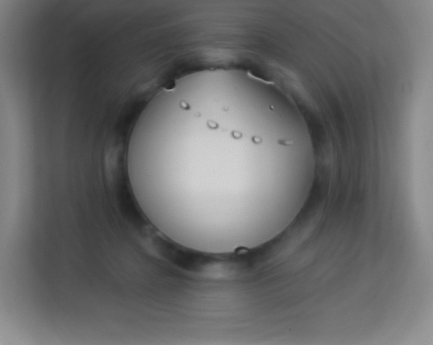 X0000113940364200910091627