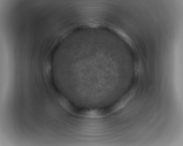 X0000113940365200910091627